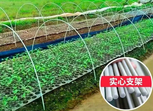 温室の植わることのための10mm繊維強化プラスチック棒の適用範囲が広いガラス繊維棒