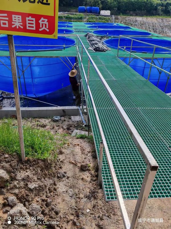 魚場FRP格子歩道またはプラットフォームは,サイズと色のためにカスタマイズすることができます