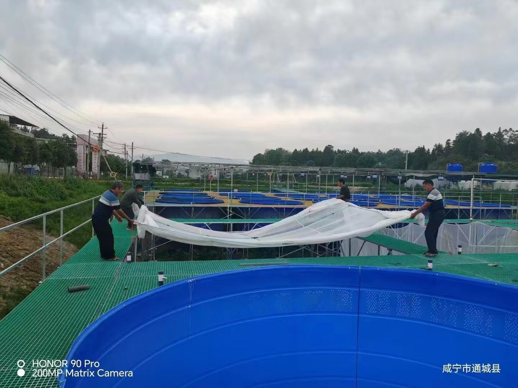 魚場FRP格子歩道またはプラットフォームは,サイズと色のためにカスタマイズすることができます